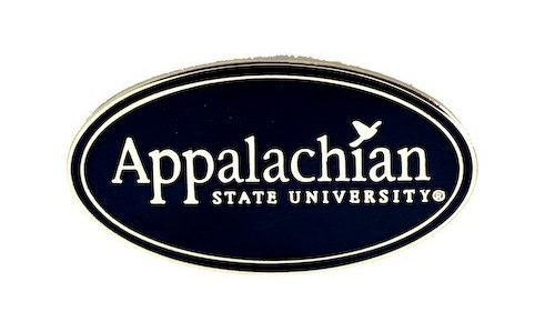 Appalachian State Spirit Pin